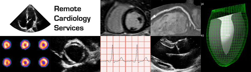 Remote Cardiology Services